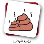 بازی شرط بندی پوپ