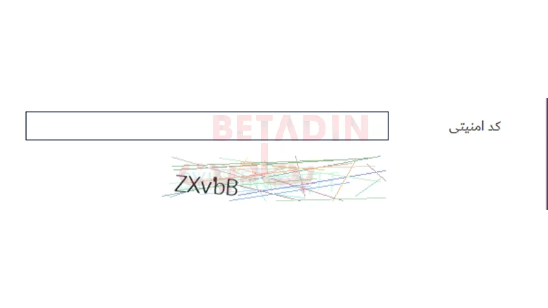 درج دقیق کد امنیتی در فرم ثبت نام در سایت بازی انفجار